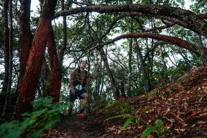 BIB: 
                            <button type="button" onclick="openModal(26346424)" class="btn btn-primary btn-sm float-right btn-popup" data-toggle="modal" data-target=".modal-high-quality">
                        <i class="fas fa-shopping-cart"></i> Add to Cart
                    </button>
                                            <button type="button" onclick="isThisMe(26346424, true)" class="btn btn-success btn-sm float-right btn-popup btn-isme hidden" data-toggle="tooltip" data-placement="bottom" title="นี่คือรูปของคุณใช่ไหม คลิกที่นี่เพื่อเอาเข้าอัลบั้ม">
                        <i class="fas fa-plus"></i> Add to album
                    </button>
                    <button type="button" onclick="isThisMe(26346424, false)" class="btn btn-warning btn-sm float-right btn-popup btn-isnotme hidden">
                        <i class="fas fa-ban"></i> Remove from album
                    </button>